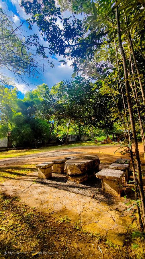 Jay'S Avenue Hotel Udawalawe Kültér fotó
