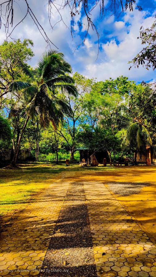 Jay'S Avenue Hotel Udawalawe Kültér fotó