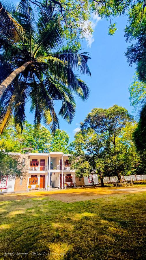 Jay'S Avenue Hotel Udawalawe Kültér fotó