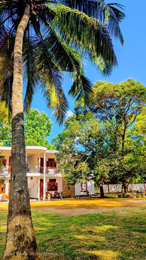 Jay'S Avenue Hotel Udawalawe Kültér fotó